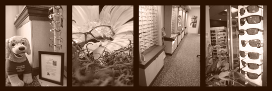 Our Optical Gallery